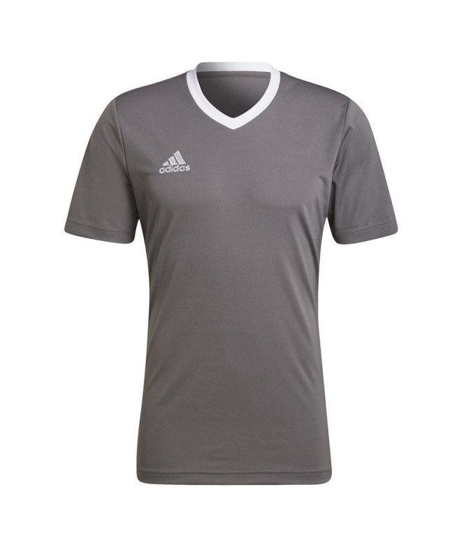Camiseta de Fútbol adidas Ent22 Hombre