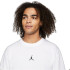 Camiseta Nike Jordan Sport Dri-FIT Hombre WH