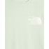 Camiseta de Montaña The North Face Coordinates Gris Hombre