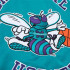 Chaqueta Mitchell & Ness Charlotte Hornets Azul Hombre