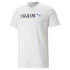 Camiseta de Fitness Puma Graphic Tr Hombre White