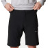 Pantalones de Senderismo Columbia Silver Ridge™ Utility Cargo Negro Hombre