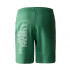 Pantalones cortos The North Face Graphic Light Deep Grass Hombre