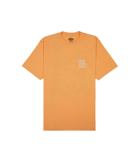 Camiseta Dickies Creswell Papaya Hombre