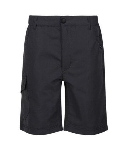 Pantalones de Montaña Regatta Sorcers II Seal Grey Infantil