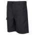 Pantalones de Montaña Regatta Sorcers II Seal Grey Infantil