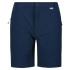 Pantalones de Montaña Regatta Highton Mid Blue Wing Hombre