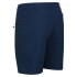 Pantalones de Montaña Regatta Highton Mid Blue Wing Hombre