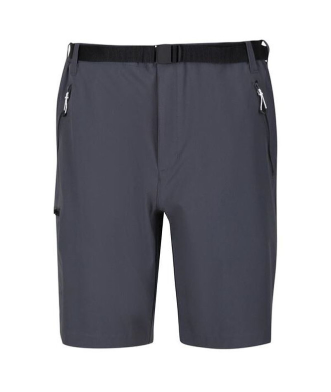 Pantalones de Montaña Regatta Xert StrShort III...