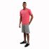 Pantalones Champion Bermuda Gris Hombre