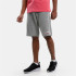 Pantalones Champion Bermuda Gris Hombre