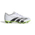 Botas de Fútbol adidas Predator Accuracy.4 Fxg Infantil