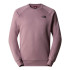 Camiseta de Montaña The North Face Raglan Redbox Crew - New Brown Hombre