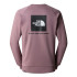 Camiseta de Montaña The North Face Raglan Redbox Crew - New Brown Hombre
