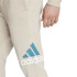 Pantalones adidas Bl Fl Tc Pt Hombre
