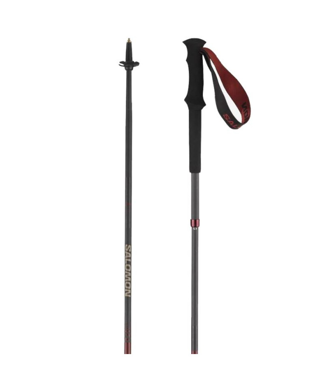 Bastones de Trail Salomon Poles Quest Carbon...
