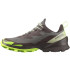 Zapatillas de Montaña Salomon Cross Over 2 Gore-Tex Grey/Green