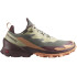 Zapatillas de Montaña Salomon Cross Over 2 Gore - Tex Alfalfa/Chocolate Mujer