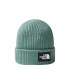Gorro de Montaña The North Face Salty Dog Lined Green