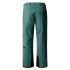 Pantalones de Esquí y snow The North Face Chakal Green Hombre