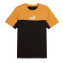 Camiseta Puma Essentials Block X Tape Hombre