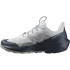 Zapatillas de Montaña Salomon Elixir Activ Gris Hombre