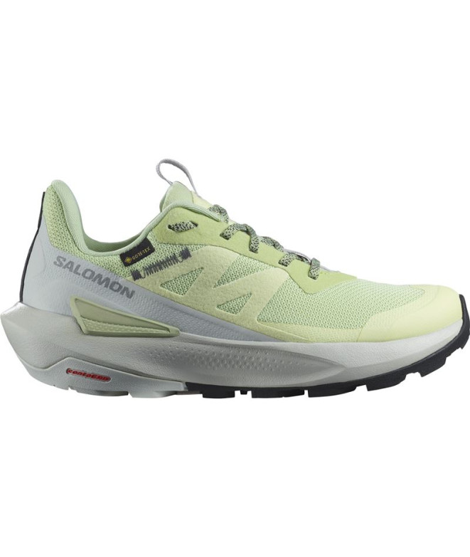 Zapatillas de Montaña Salomon Elixir Activ...