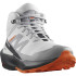 Zapatillas de Montaña Salomon Elixir Activ Mid GORE-TEX® Gris Hombre