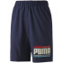 Pantalones Sportswear Puma Celebration Boys Woven