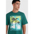 Camiseta O'Neill Jack Neon Living Verde Hombre