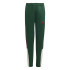 Pantalones adidas Tiro Nations Pack Infantil Verde
