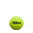 Pelotas de pádel Wilson Premier 3 Ball