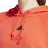 Sudadera adidas Signature Graphic Embroidery French Terry Loose Mujer Rojo