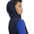 Sudadera adidas Essentials Big Logo Colorblock Infantil Azul