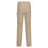 Pantalones Regatta Highton Z/O Hombre Beige