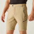 Pantalones Regatta Highton Z/O Hombre Beige