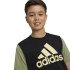 Camiseta adidas Essentials Big Logo Colorblock Cotton Infantil Negro