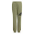 Pantalones adidas Essentials Big Logo Cotton Regular Fit Infantil Verde