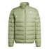 Chaqueta de Montaña Essentials Lite Down Hombre Verde
