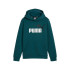 Sudadera Casual Puma Essentials + 2 Col Big Logo Fl Niño