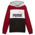 Sudadera Puma Essentials Block Hoodie Fl Niño