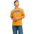 Camiseta Jack and Jones elogo Oneck 2Col 24/25 Honey Gold Infantil
