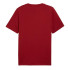 Camiseta Casual Puma Graphics Puma Sports Hombre
