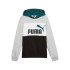 Sudadera Casual Puma Essentials Block Hoodie Fl Niño