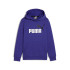 Sudadera Casual Puma Essentials+ 2 Col Big Logo Niño Azul