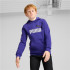 Sudadera Casual Puma Essentials+ 2 Col Big Logo Niño Azul