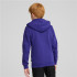 Sudadera Casual Puma Essentials+ 2 Col Big Logo Niño Azul