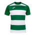 Camiseta Manga Corta Hombre Prorugby II Verde Blanco