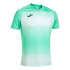 Camiseta de Fútbol Joma Manga Corta Tiger V Hombre/Niño Verde Blanco