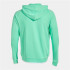 Chaqueta de Fútbol Joma Con Capucha Tiger V Hombre/Niño Verde Blanco